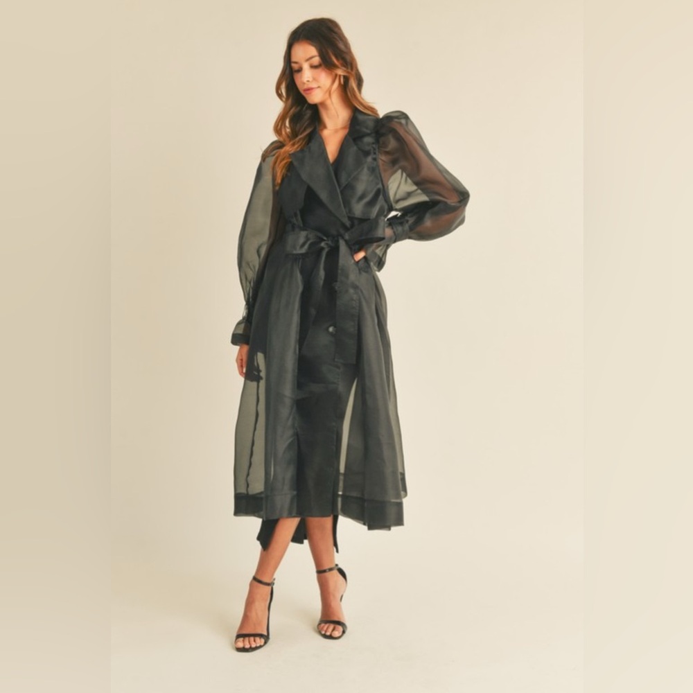 350. MABLE Organza Puff Sleeve Sheer Trench Coat - Picture 3 of 6